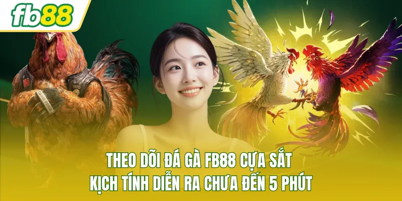 Theo dõi đá gà FB88 cựa sắt kịch tính diễn ra chưa đến 5 phút